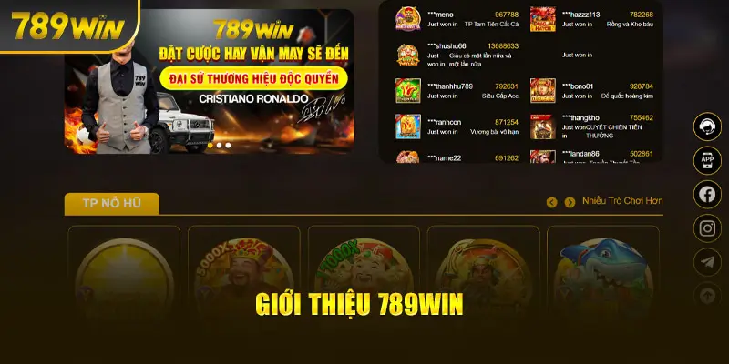 Giới Thiệu Chi Tiết Về Nhà Cái 789win